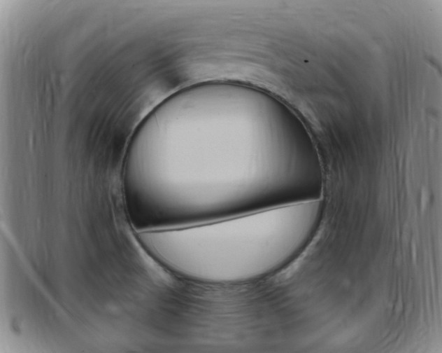 X0000097831521200803140816