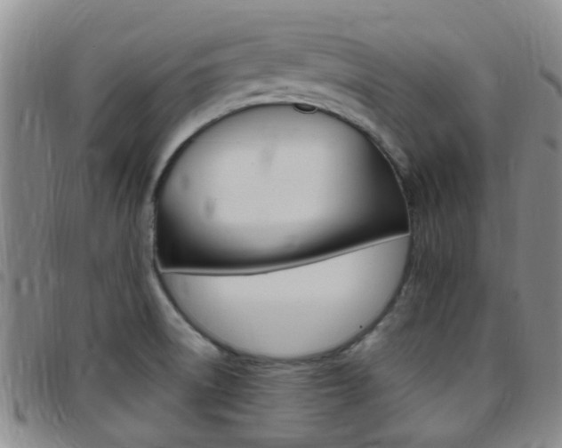 X0000097831522200803140816