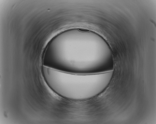 X0000097831523200803140816