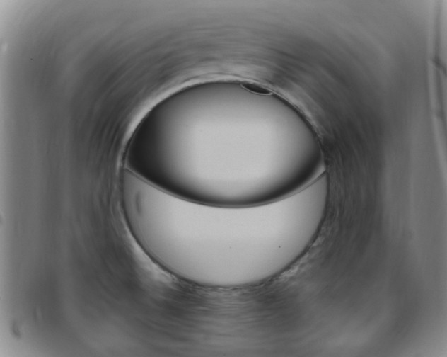 X0000097831524200803140816