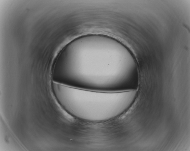 X0000097831525200803140816