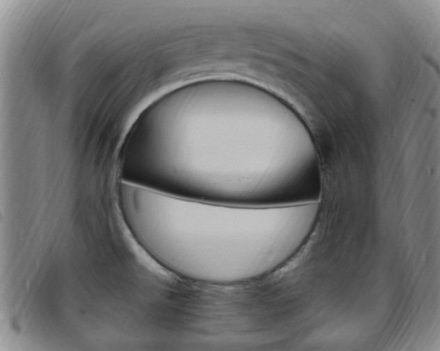 X0000097831526200803140817