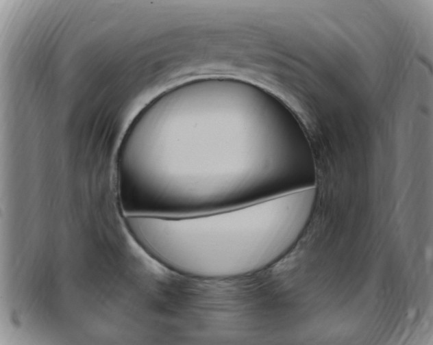 X0000097831527200803140817
