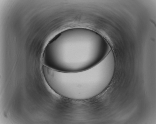 X0000097831528200803140817