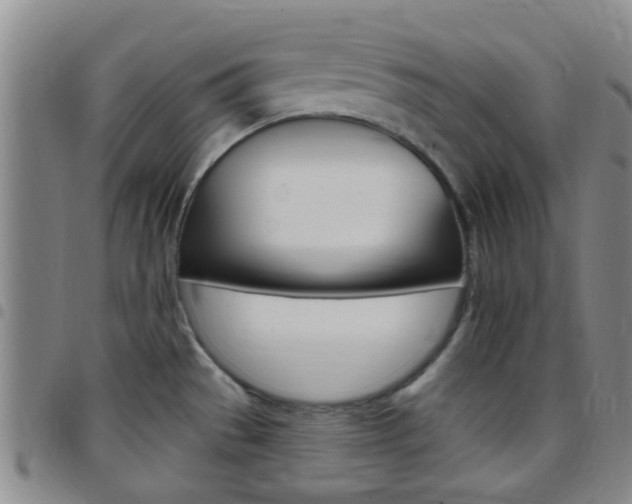 X0000097831529200803140817