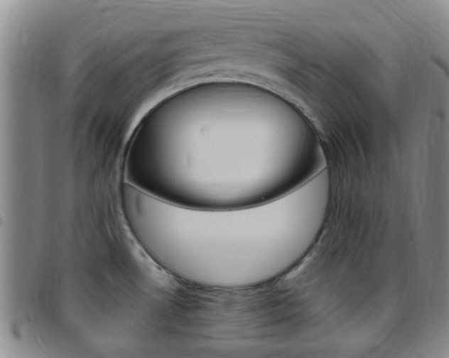 X0000097831530200803140817