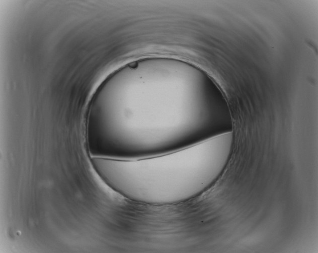 X0000097831531200803140817