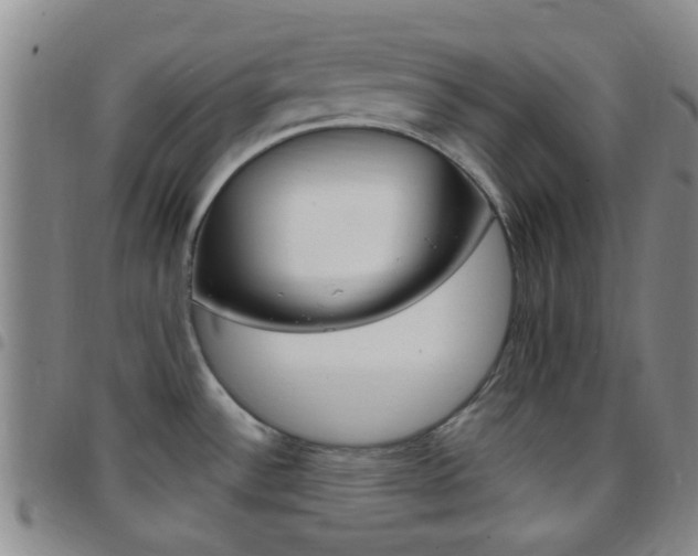 X0000097831532200803140817