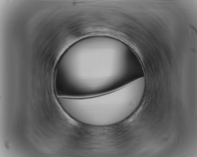 X0000097831533200803140817