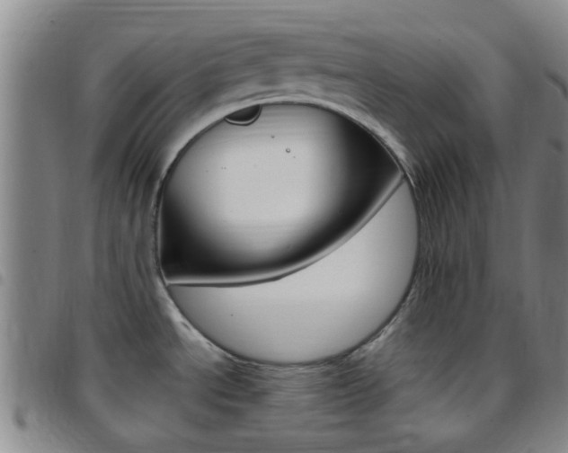 X0000097831534200803140817