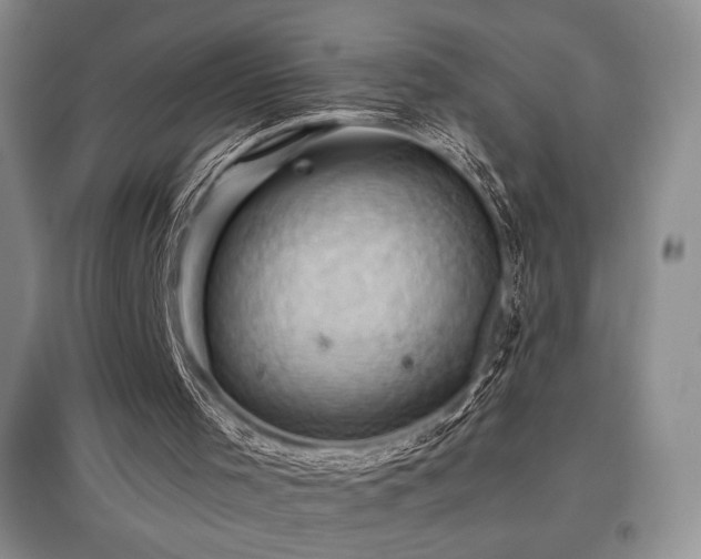 X0000097830001200803141156