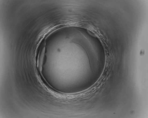 X0000097830002200803141156
