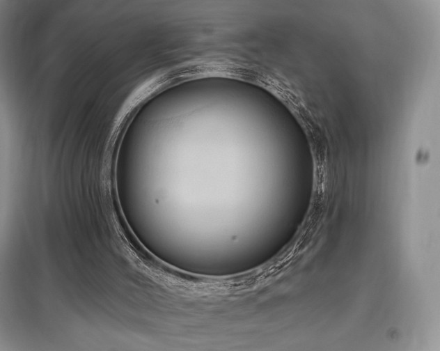X0000097830004200803141156