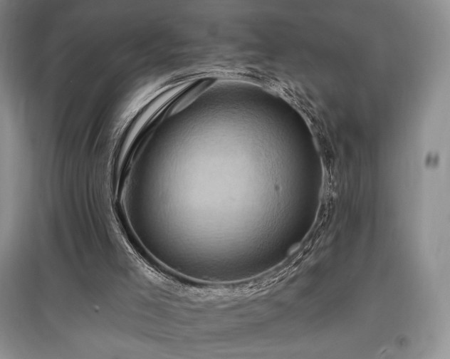 X0000097830005200803141156