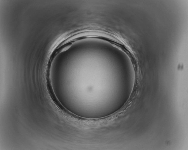 X0000097830007200803141156