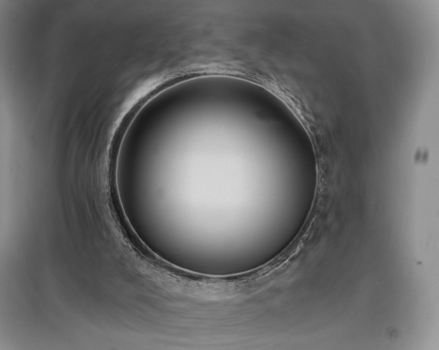 X0000097830008200803141156