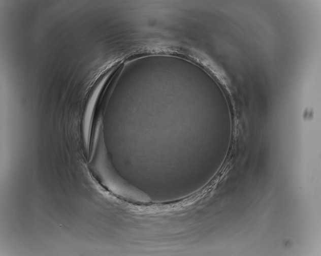 X0000097830009200803141156