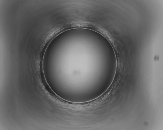 X0000097830010200803141156