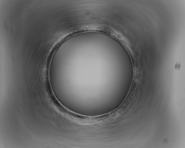 X0000097830012200803141156