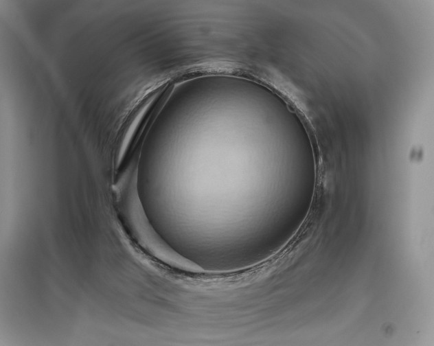 X0000097830013200803141156