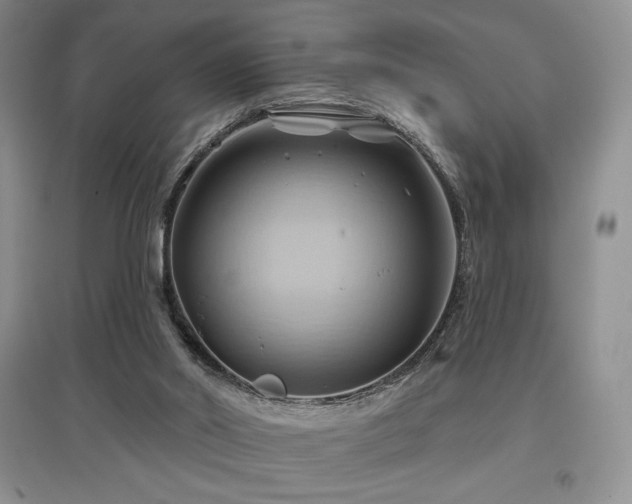 X0000097830014200803141156