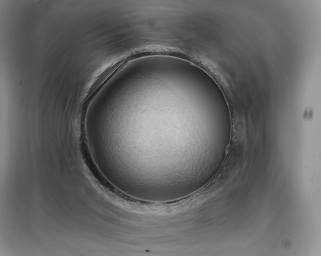 X0000097830015200803141156