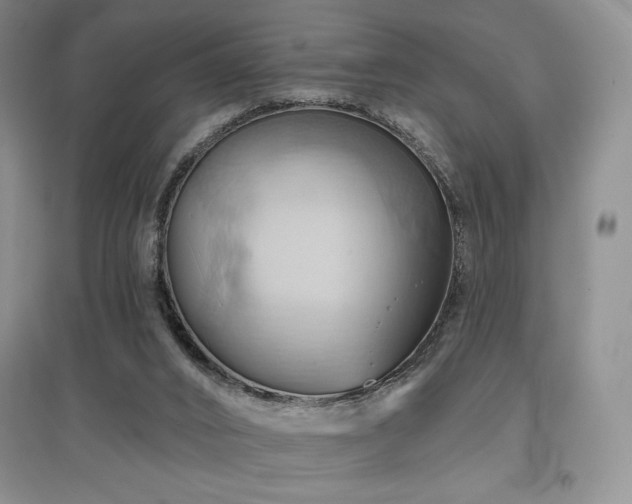 X0000097830016200803141156
