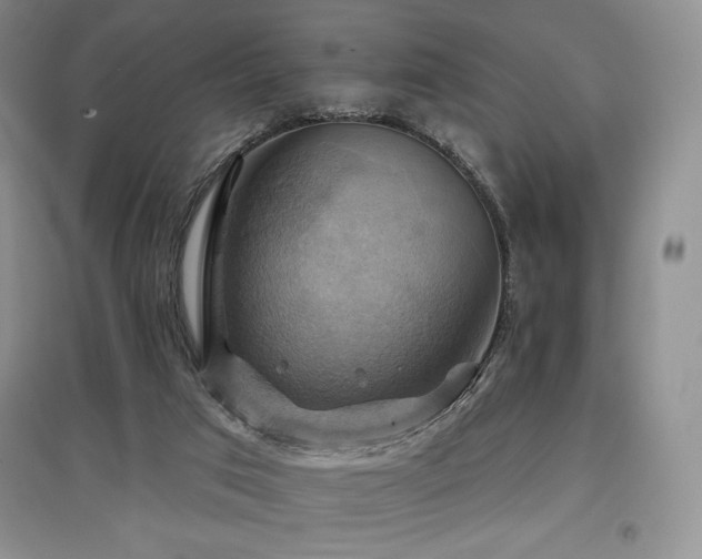 X0000097830017200803141156