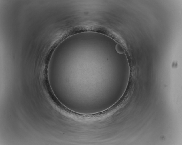 X0000097830018200803141156