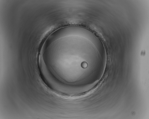 X0000097830019200803141156