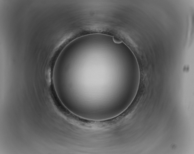 X0000097830020200803141156