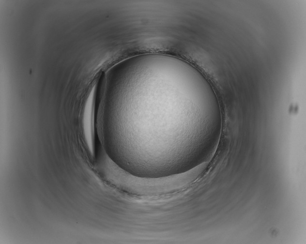X0000097830021200803141155