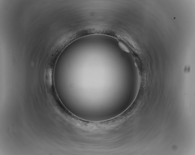X0000097830022200803141155