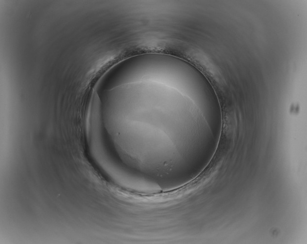 X0000097830023200803141155