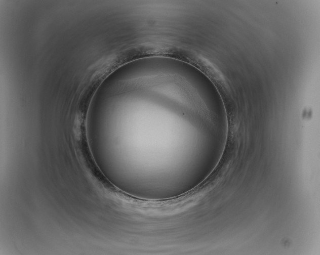 X0000097830026200803141155