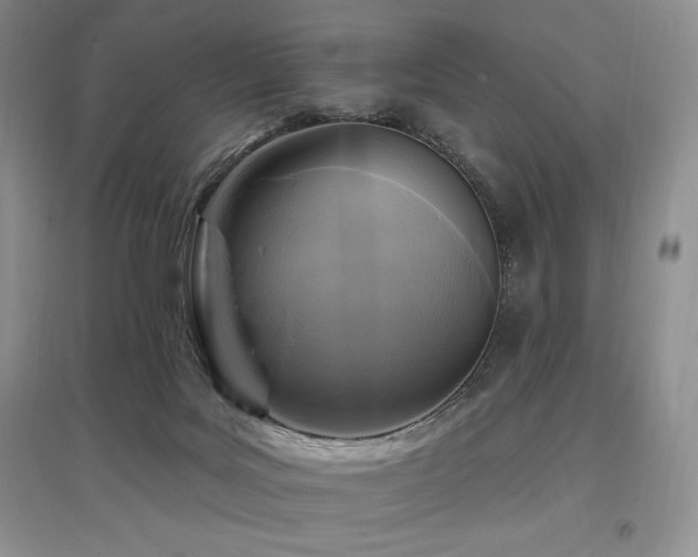 X0000097830027200803141155
