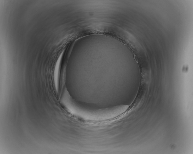 X0000097830029200803141155