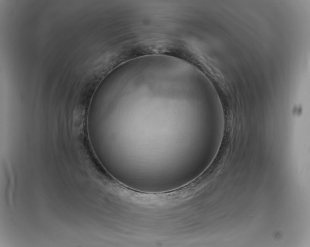 X0000097830030200803141155