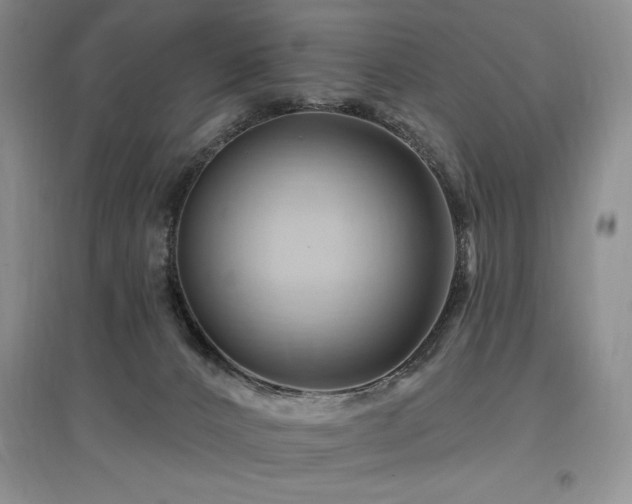 X0000097830032200803141155