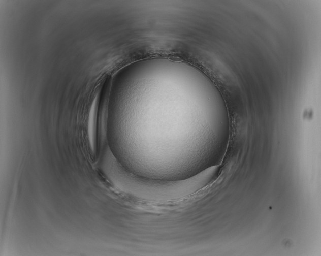 X0000097830033200803141155