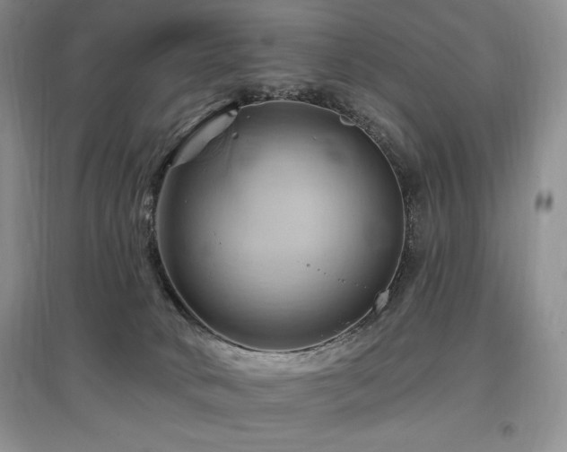 X0000097830034200803141155