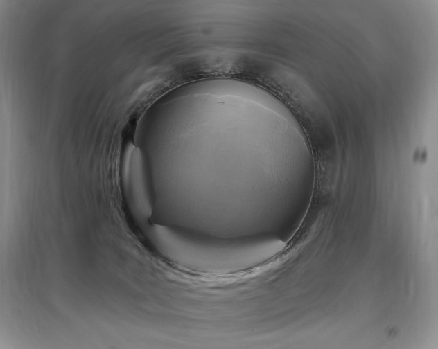 X0000097830035200803141155