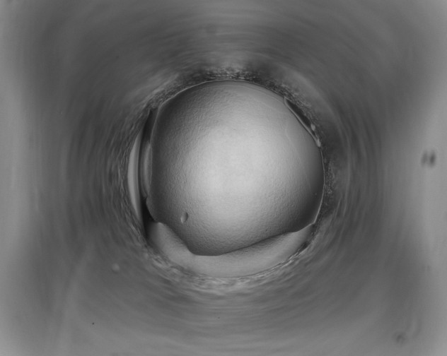X0000097830037200803141155