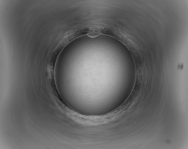X0000097830038200803141155