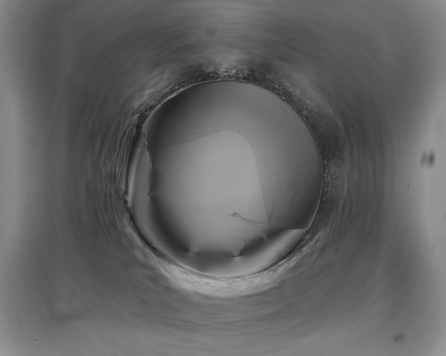 X0000097830039200803141155