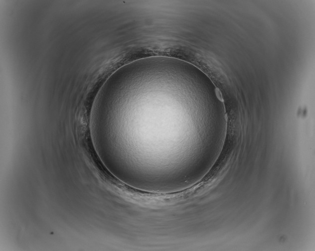 X0000097830040200803141155
