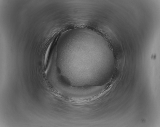 X0000097830041200803141155