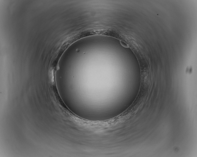 X0000097830042200803141155