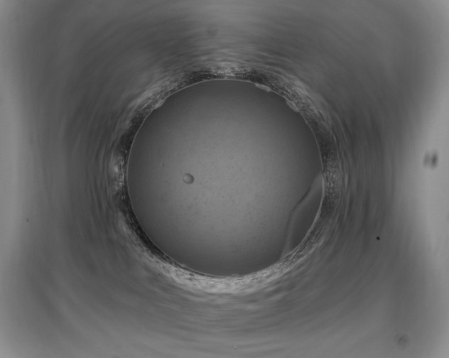 X0000097830043200803141155