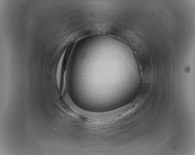 X0000097830045200803141155